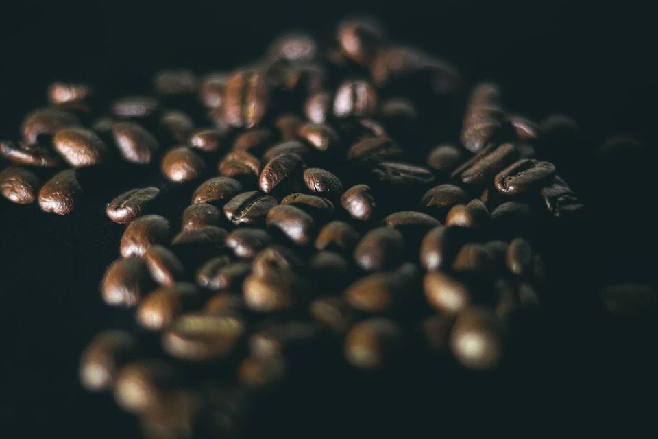 Freshly roasted coffee beans